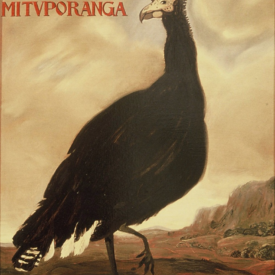 Imagem padrão